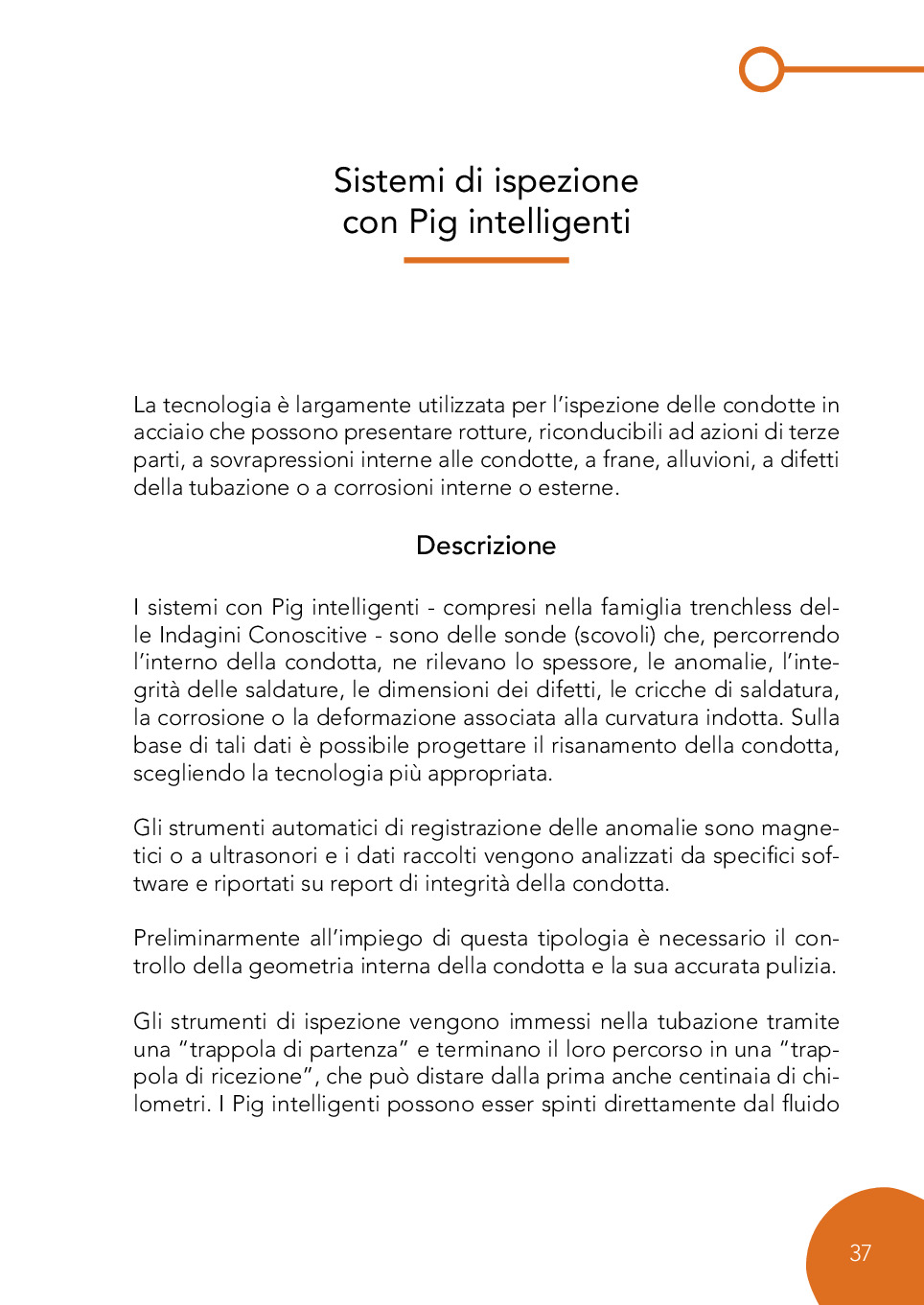Pagina 43